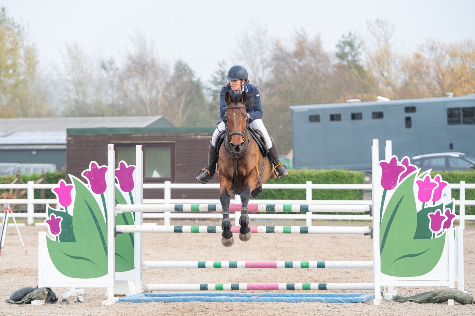 Avalon Mill Equestrian - image 9