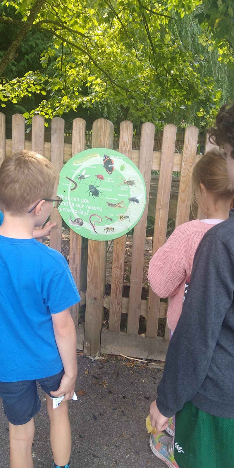Whizz Kids Holiday Club - image 7