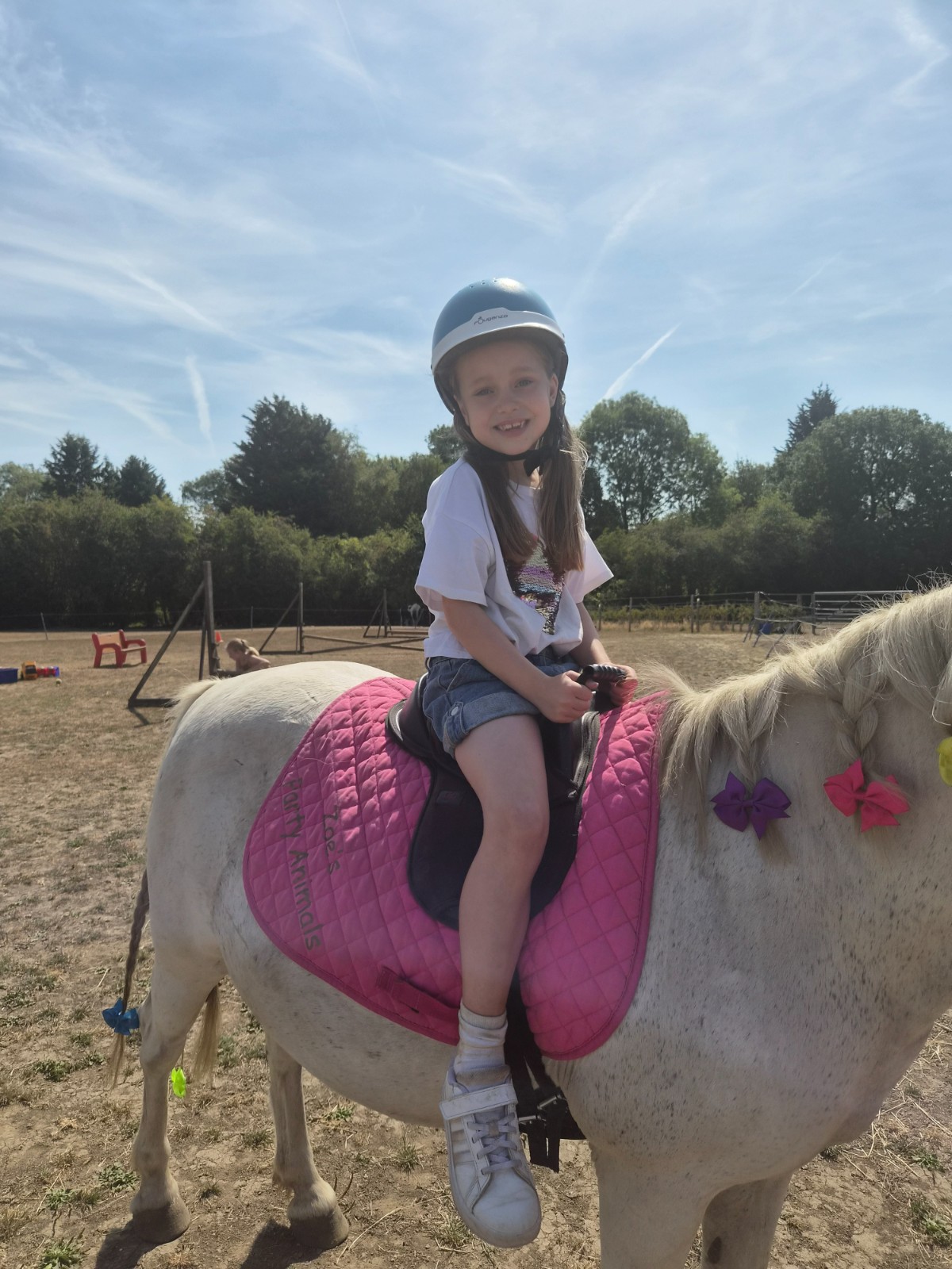 Zoe's Party Animals- Holiday club- Inc HAF - image 14