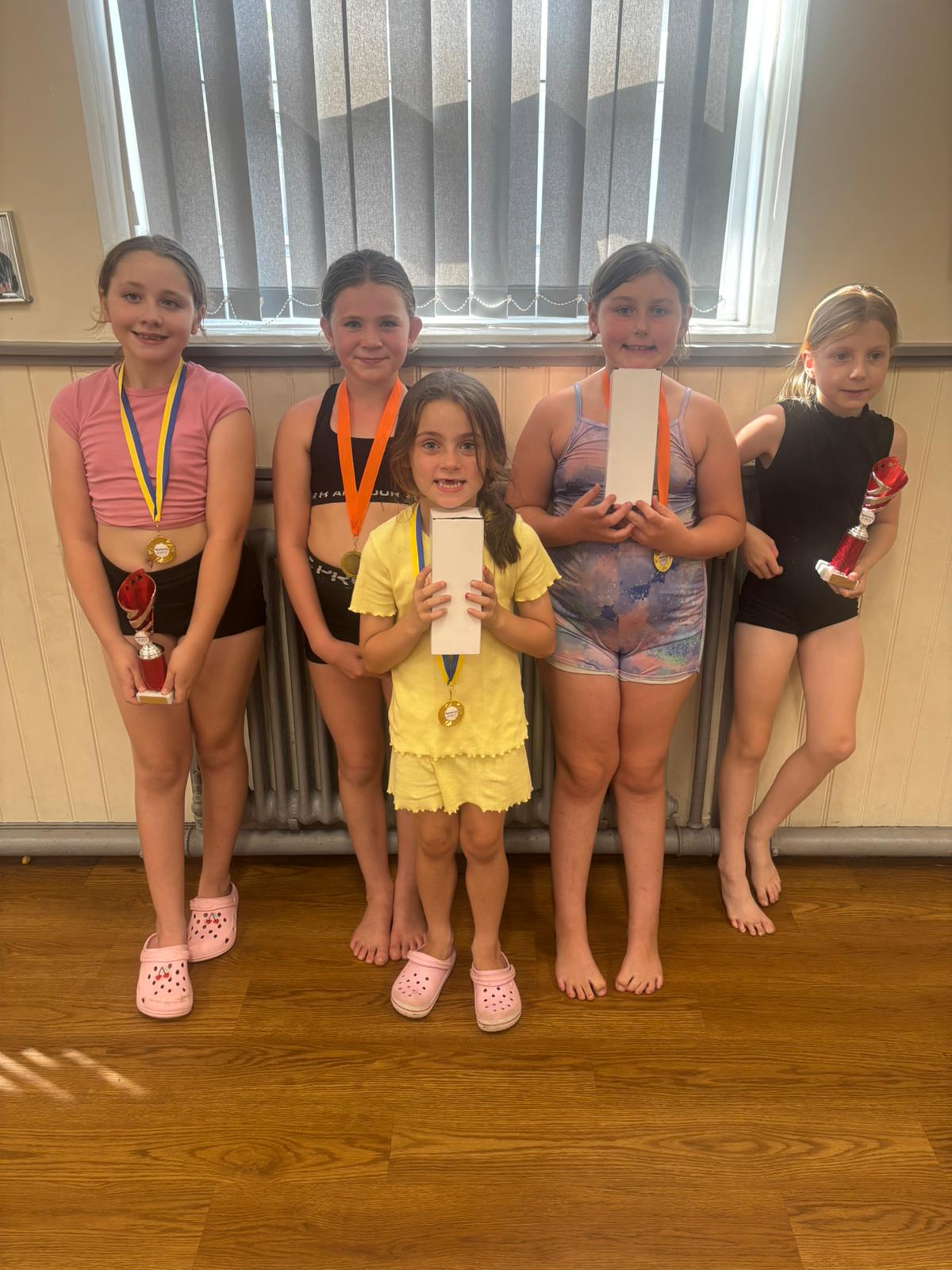 SK  Cheer/Dance Springwell - image 15