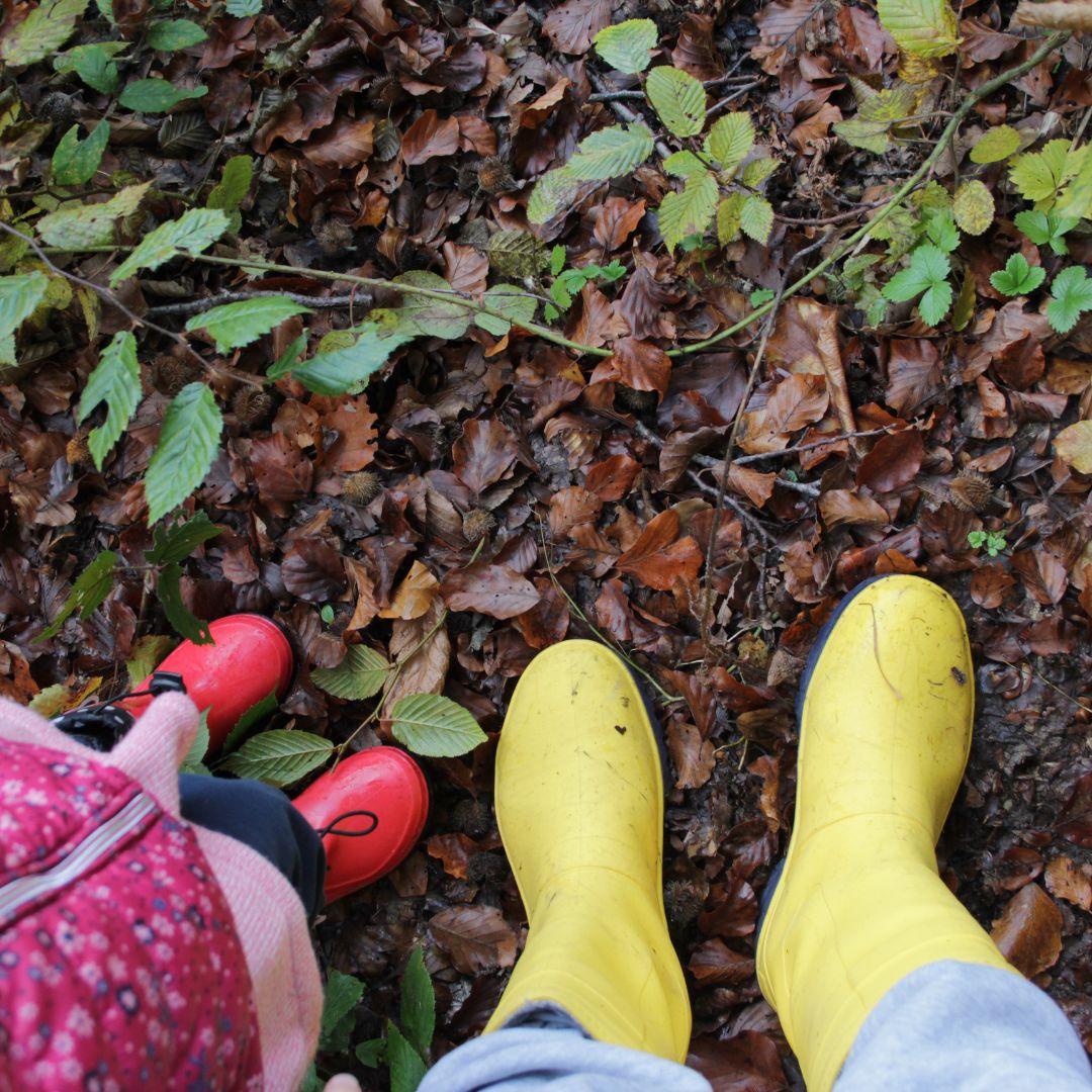 Forest School Parent and Toddler - Under 5's - image 6