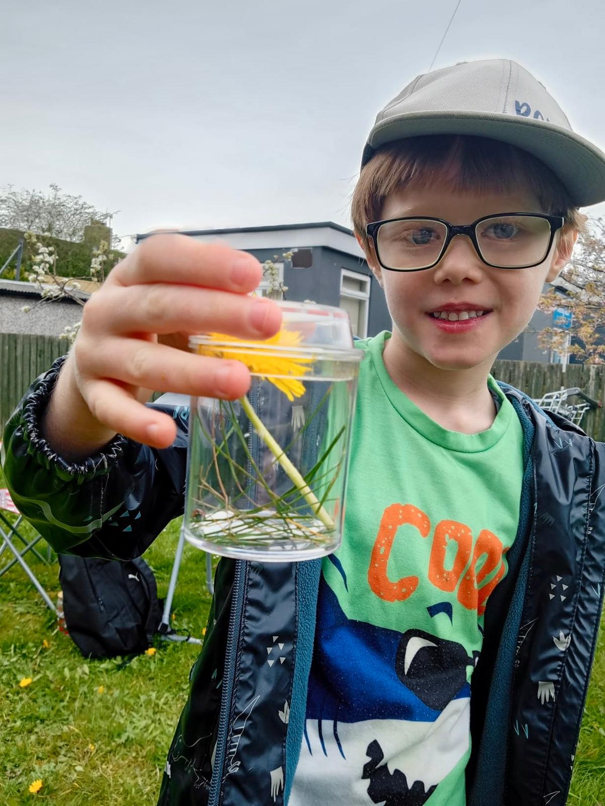 Little Roots and Wild Things block mentored by Timebank Hull and East Riding