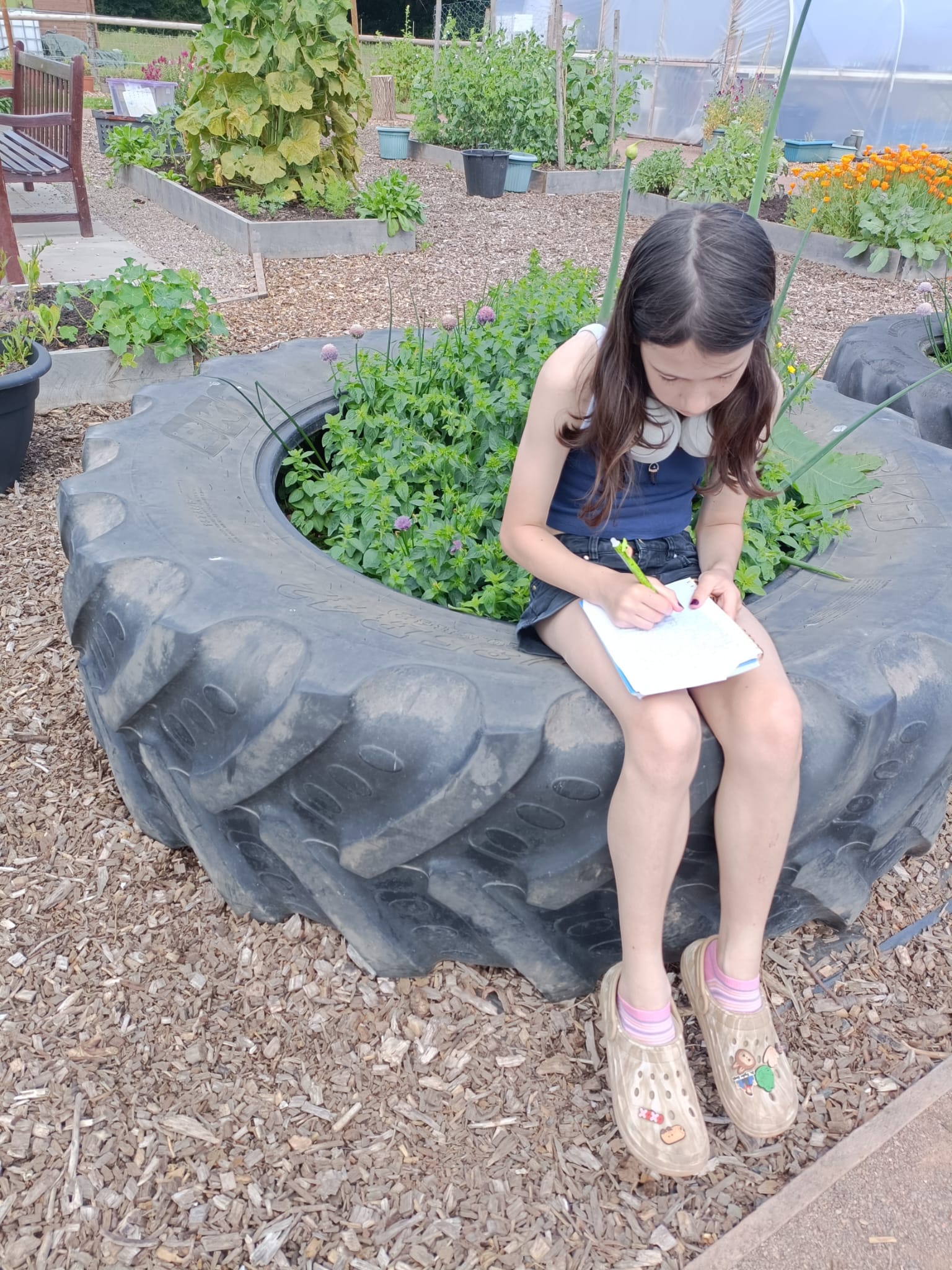 Pizza & The Dragon - image 5