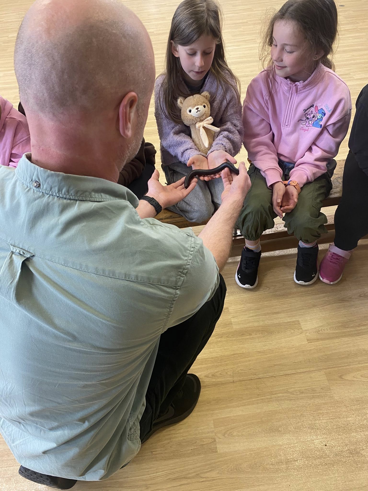 HAF Discover and Play Club -  Bungay Primary - image 5