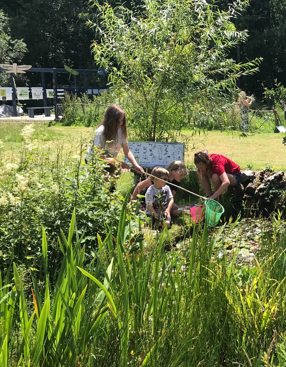 Naturezones HAF Wise Owl Holiday Club block mentored by Naturezones Wildlife Education Trust