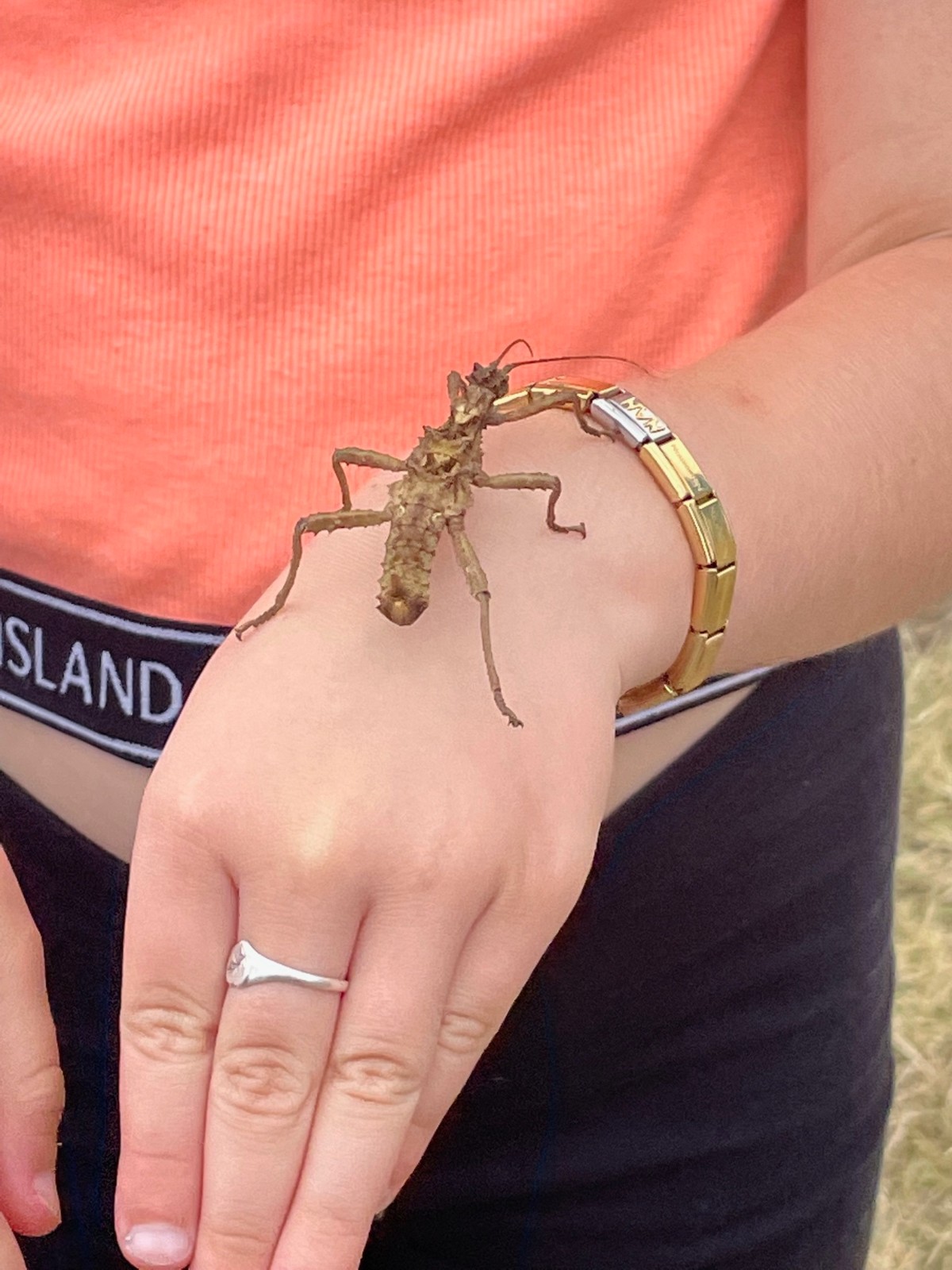 Forge Holiday Club - Tankersley - image 6