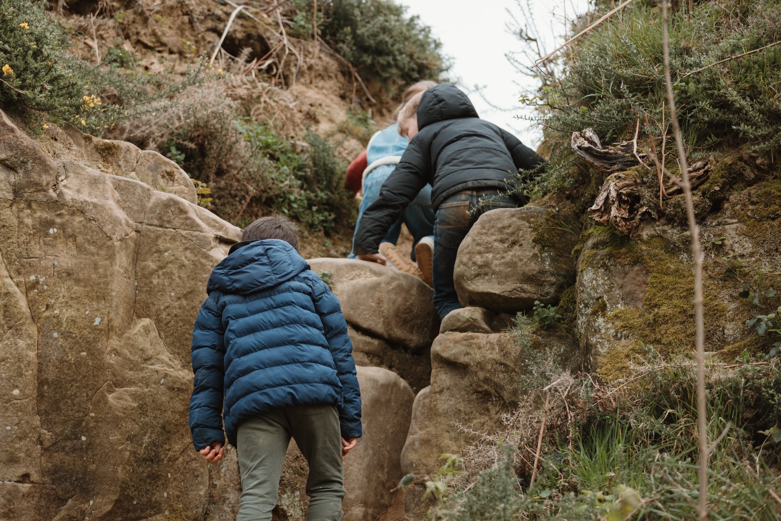 REWILD HASTINGS - COUNTRY PARK - image 9