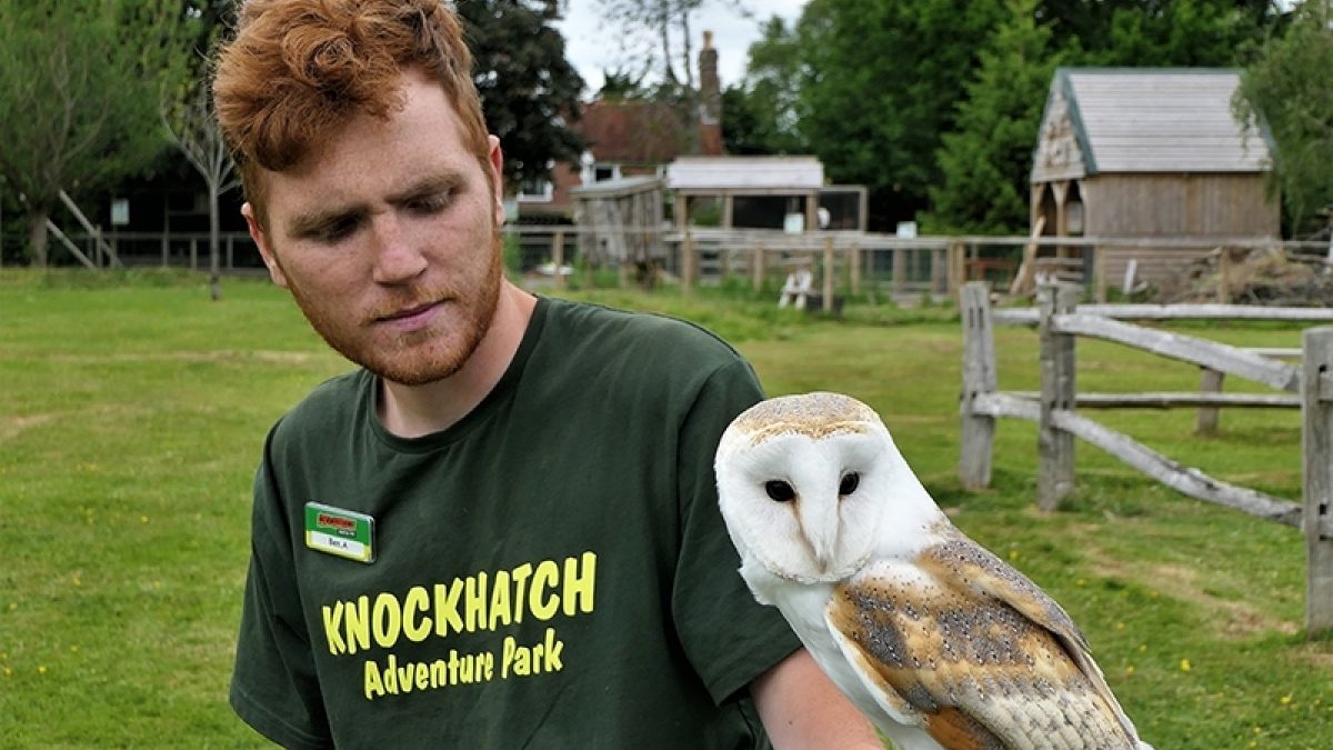 Knockhatch Park and Animal experiences camp - image 3