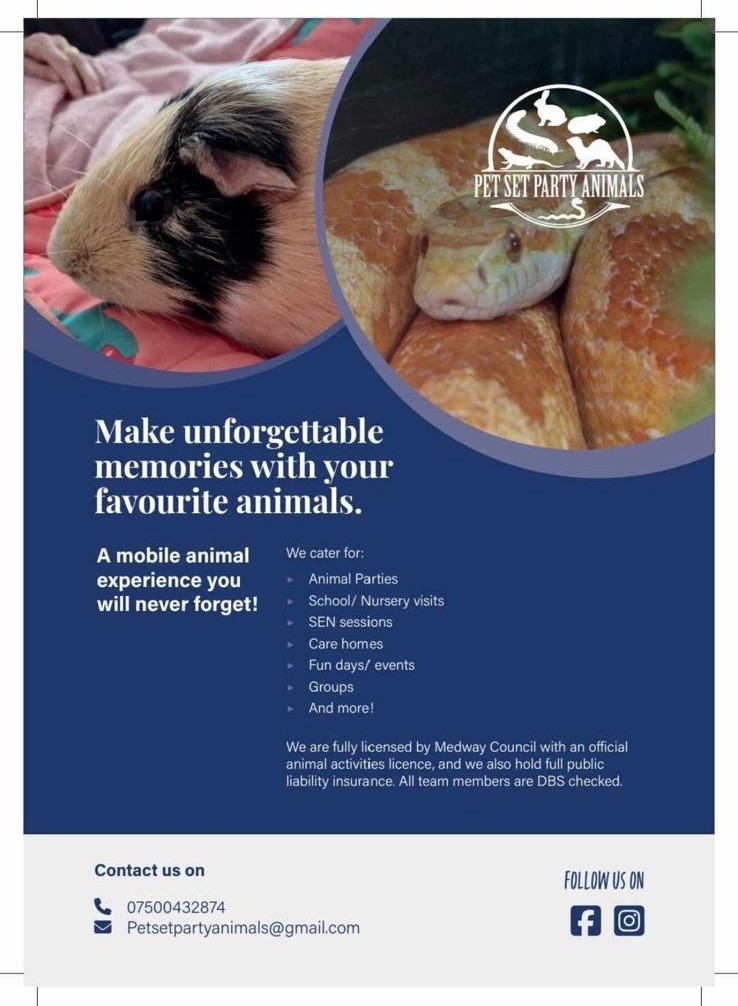 Animal Encounter, Crafts, Nature Camp - image 5