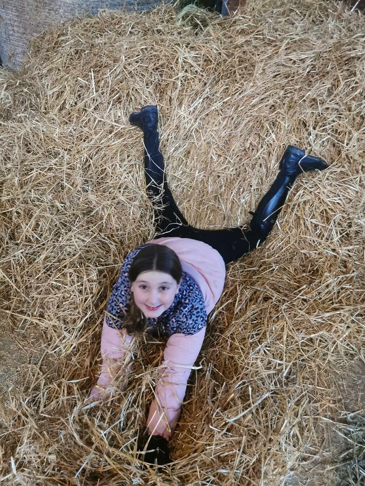 Secondary Horse & Pony Experience @HowdenEques - image 3