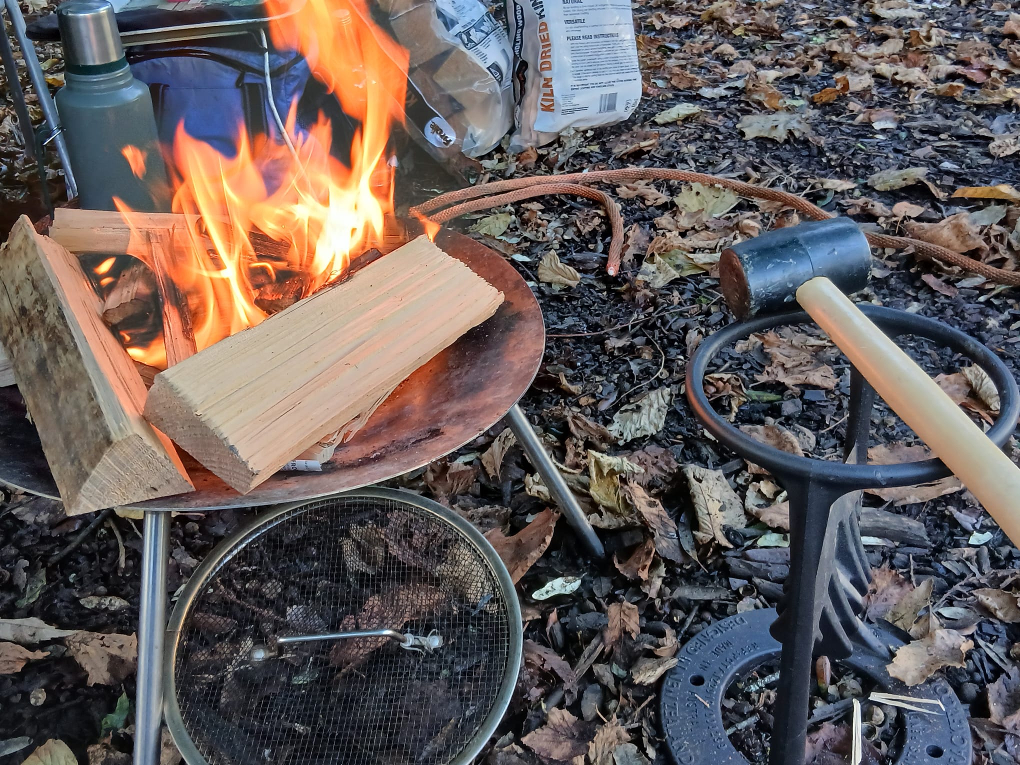 Home Ed @Singleton Park block mentored by Forest School SNPT