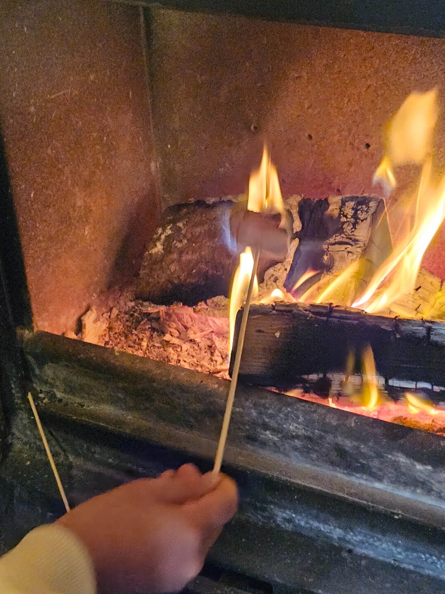 Name It Youth Project 
Wild & Wonder Camp - image 7