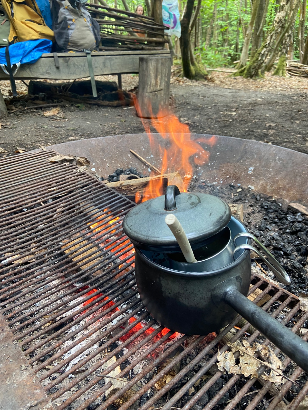 New Weekly Forest School block mentored by Call of the Woods