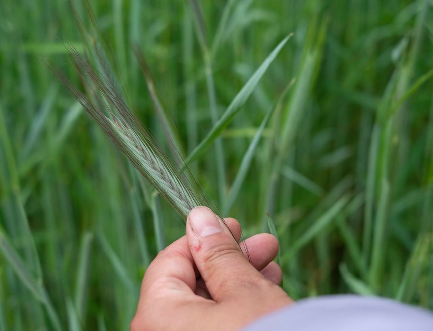 Embodied Ecology - image 3