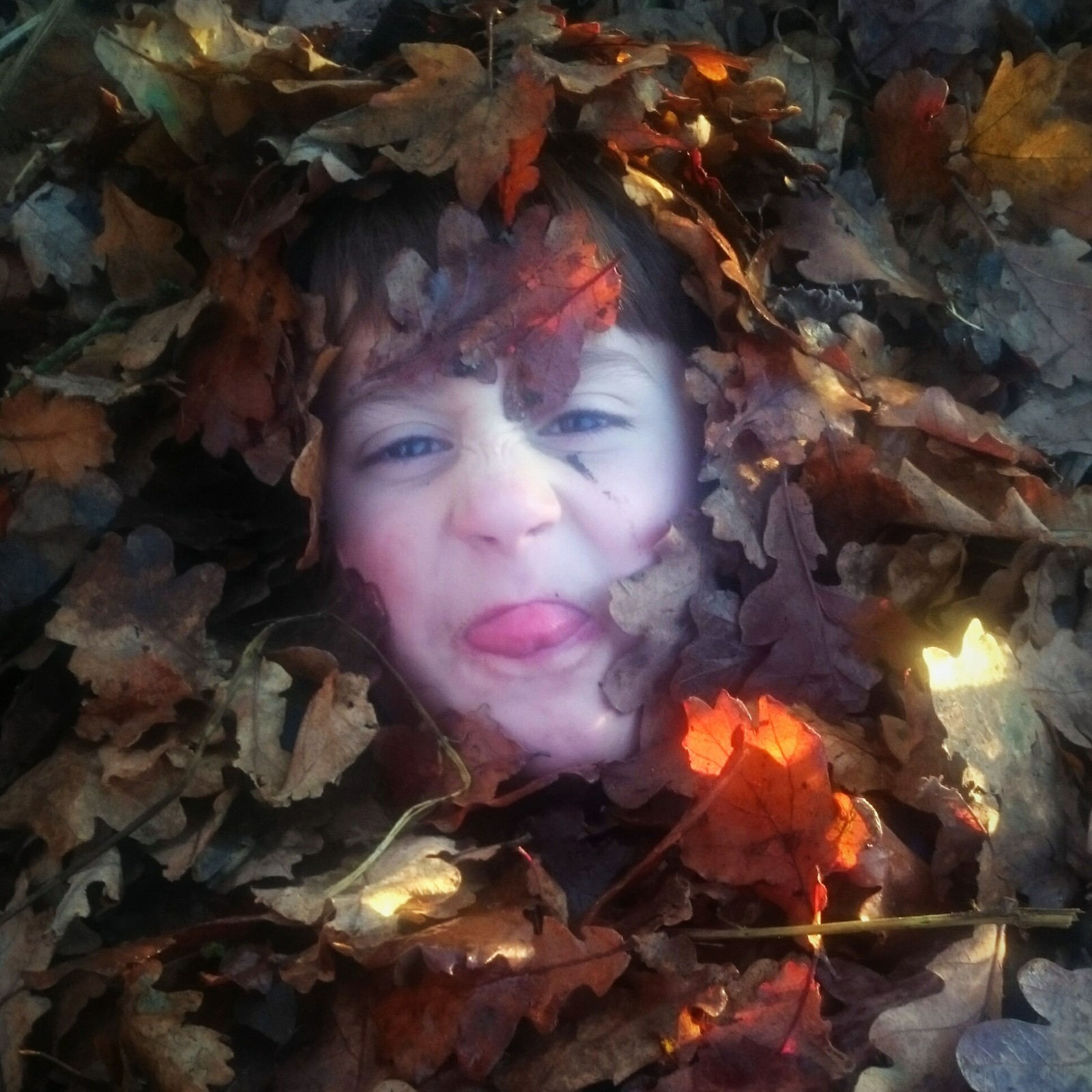 Mini Wilderness Explorers - image 13