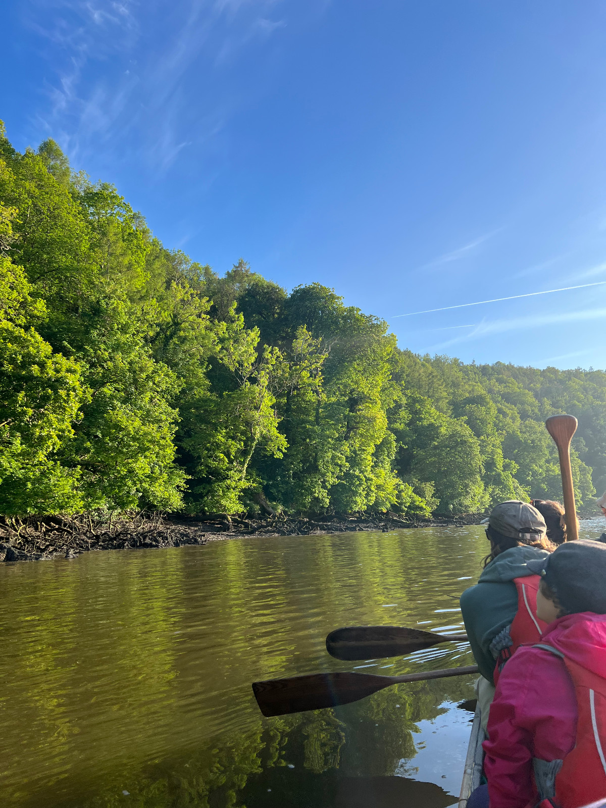 Nature Adventures on the Dart Estuary - image 7