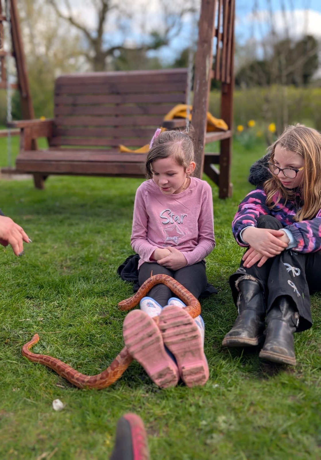 Zoe's Party Animals- Holiday club- Inc HAF - image 10