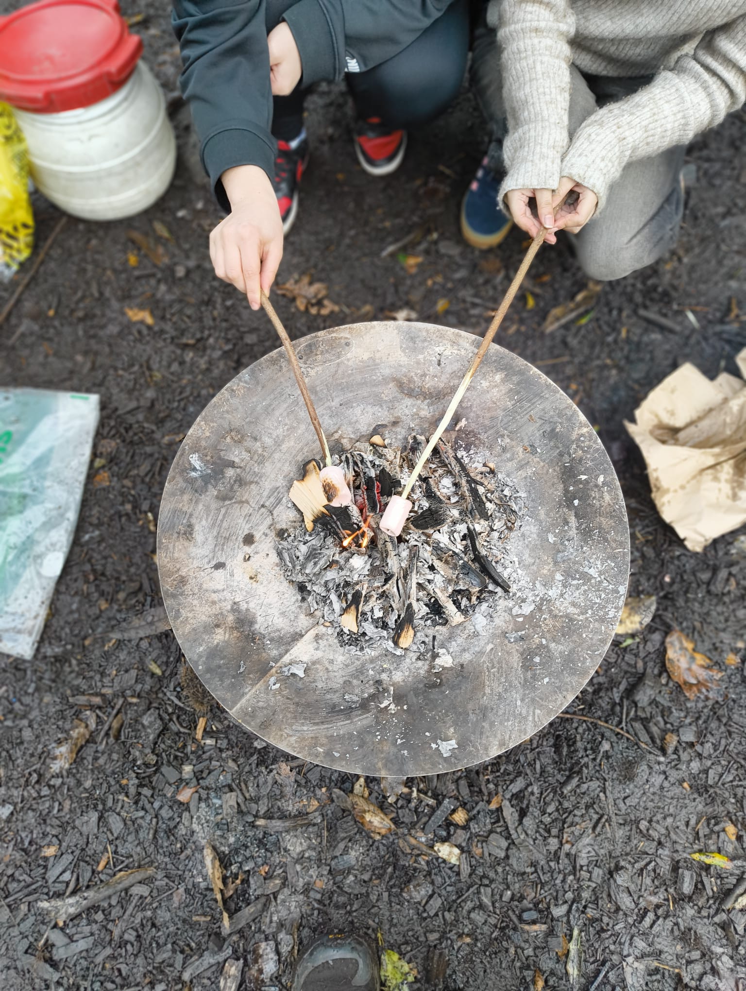 Home Ed @Singleton Park - image 2