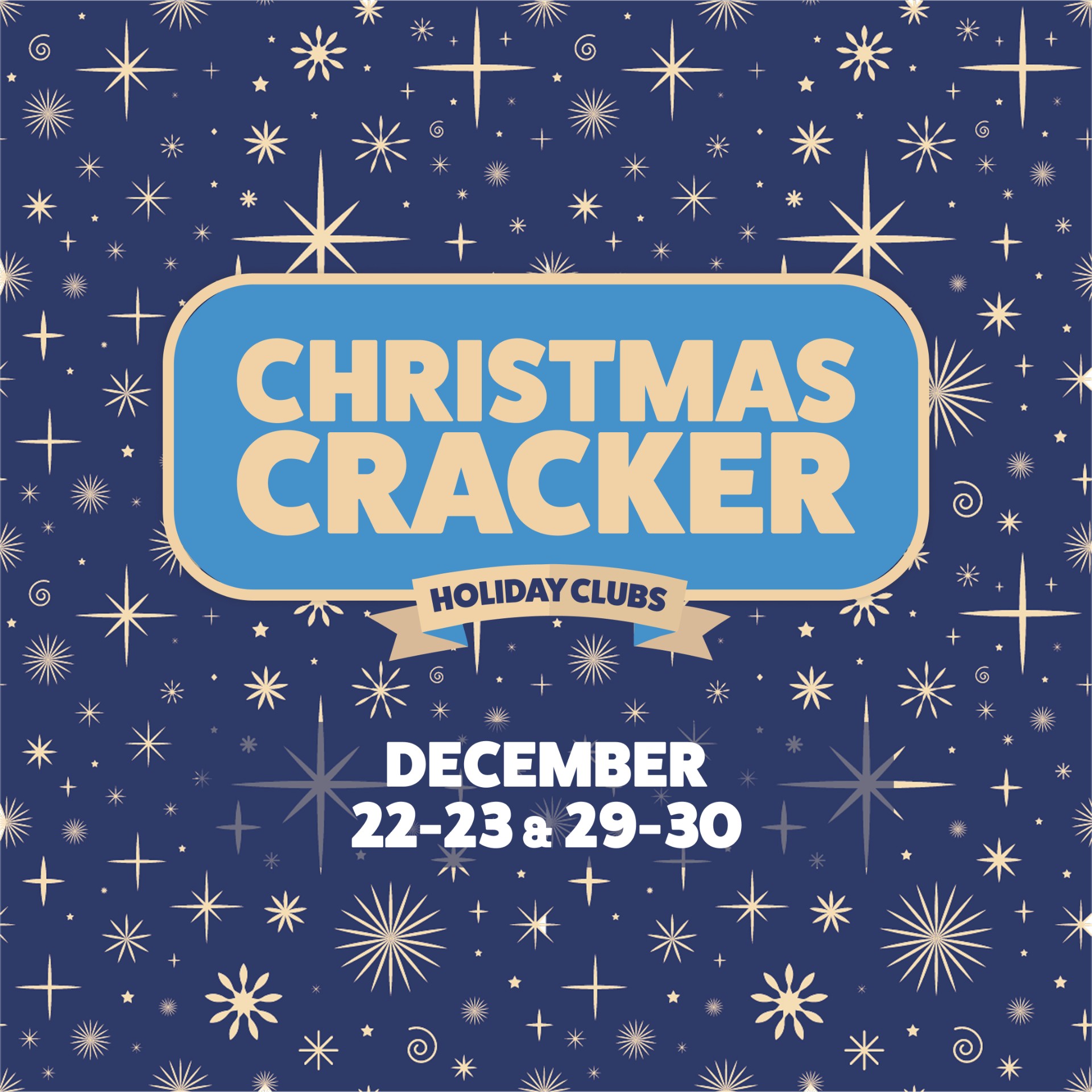 ASM Sports @ Madeley School - image 5