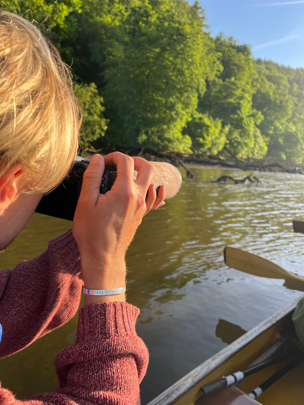 Nature Adventures on the Dart Estuary - image 5