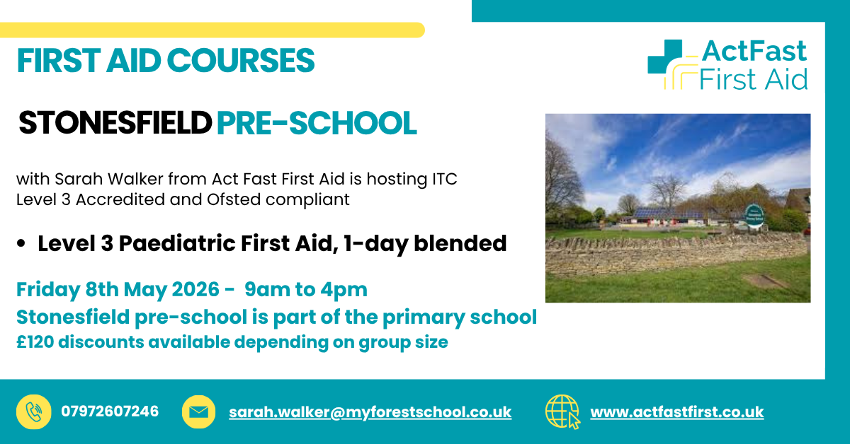 PAEDIATRIC FIRST AID - 1 DAY BLENDED - image 2