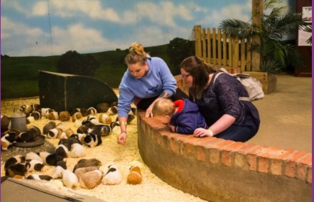 Hatton Farm - HAF Trip - image 2