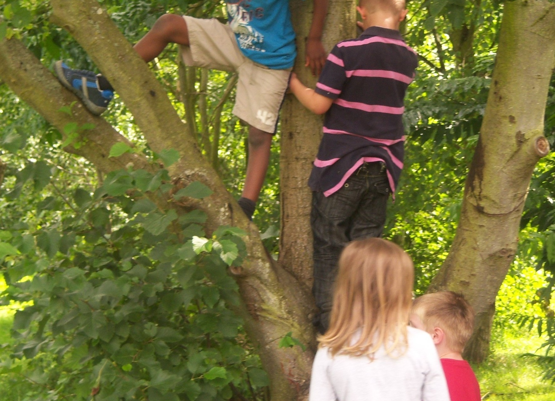 Happy Days Childcare - Ecton Brook HAF - image 16
