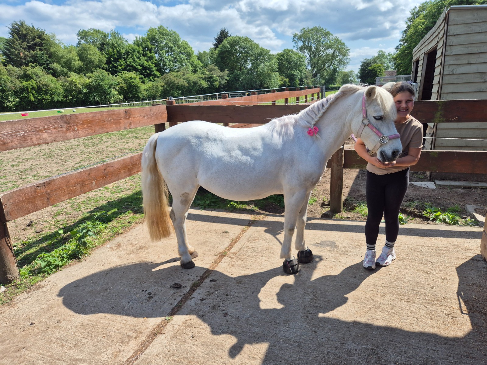 Picnic with the Ponies - image 6