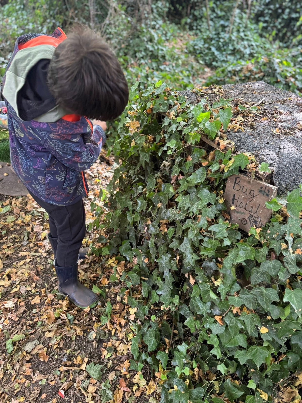 Nature Forest school - HAF - image 7