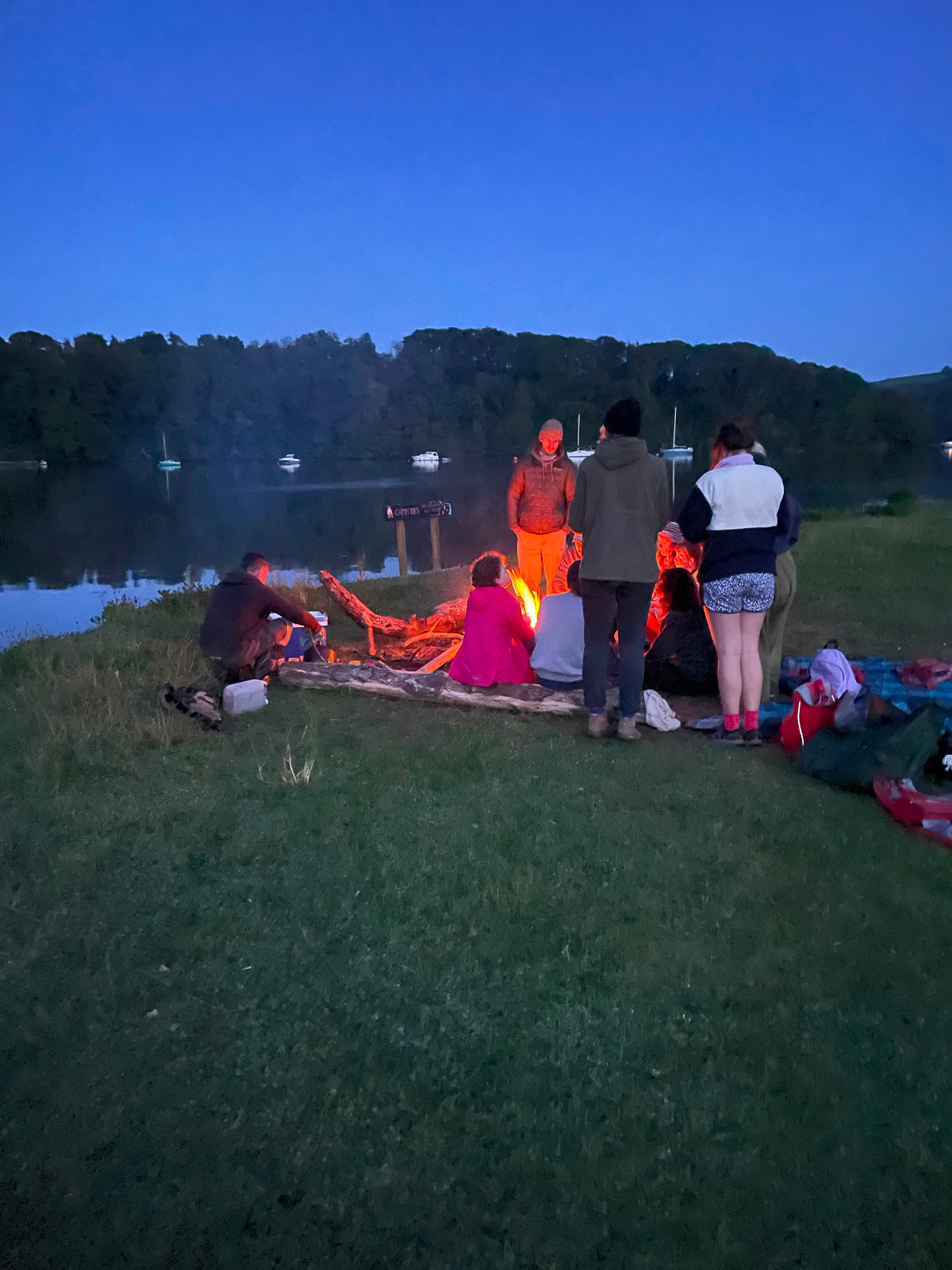 Nature Adventures on the Dart Estuary - image 2