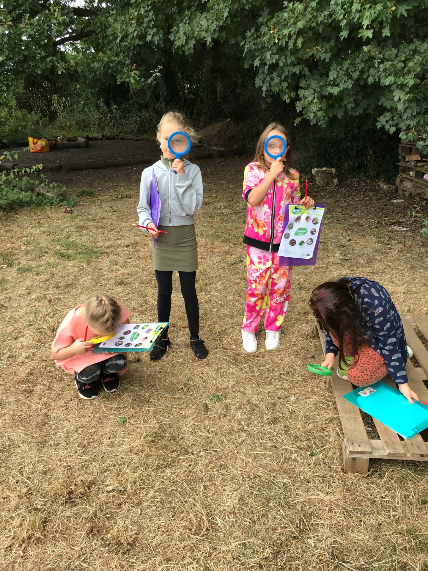 ECCT Willowbrook School HAF - image 2