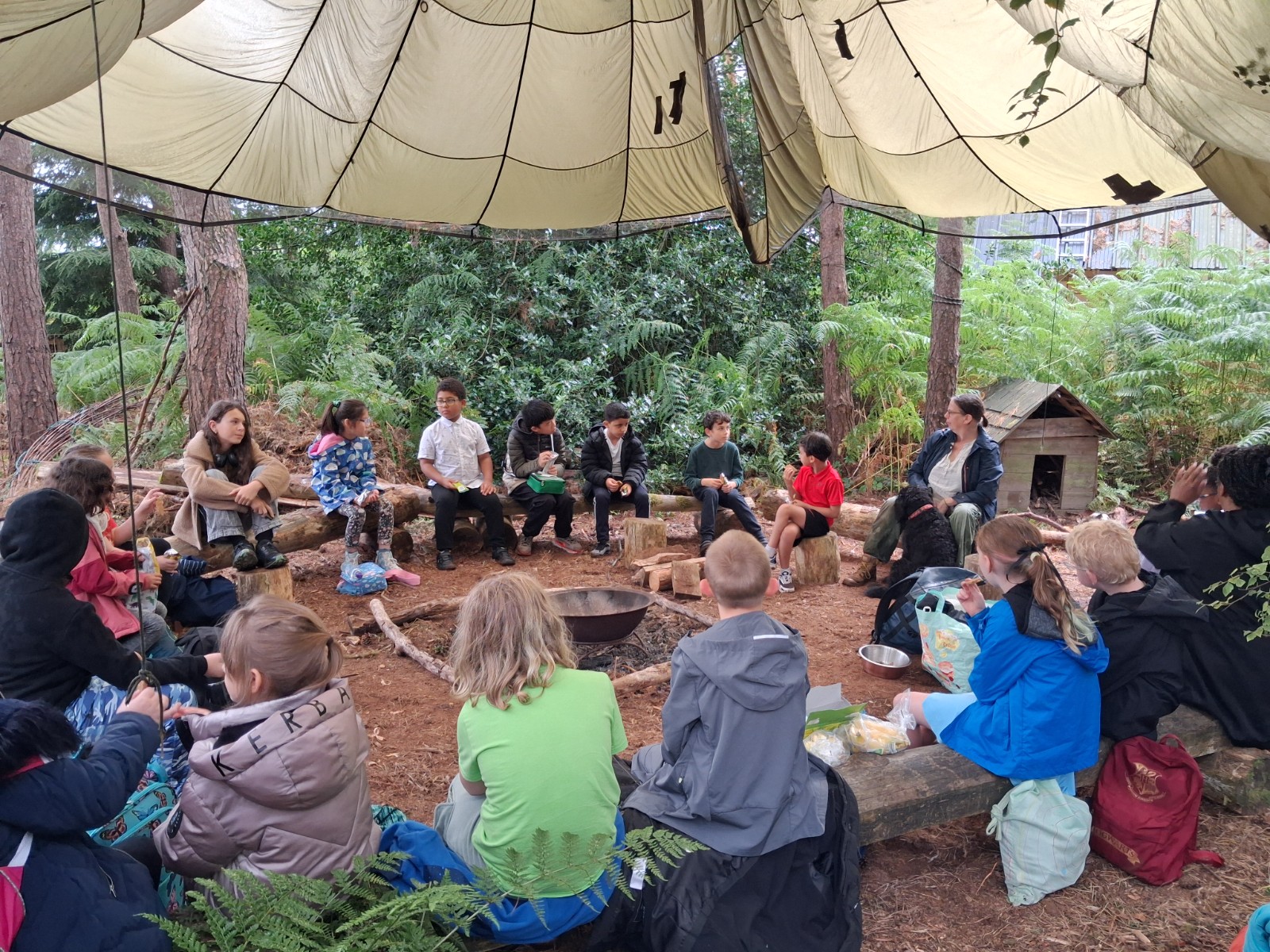 Woodland holiday club Summer HAF - image 2