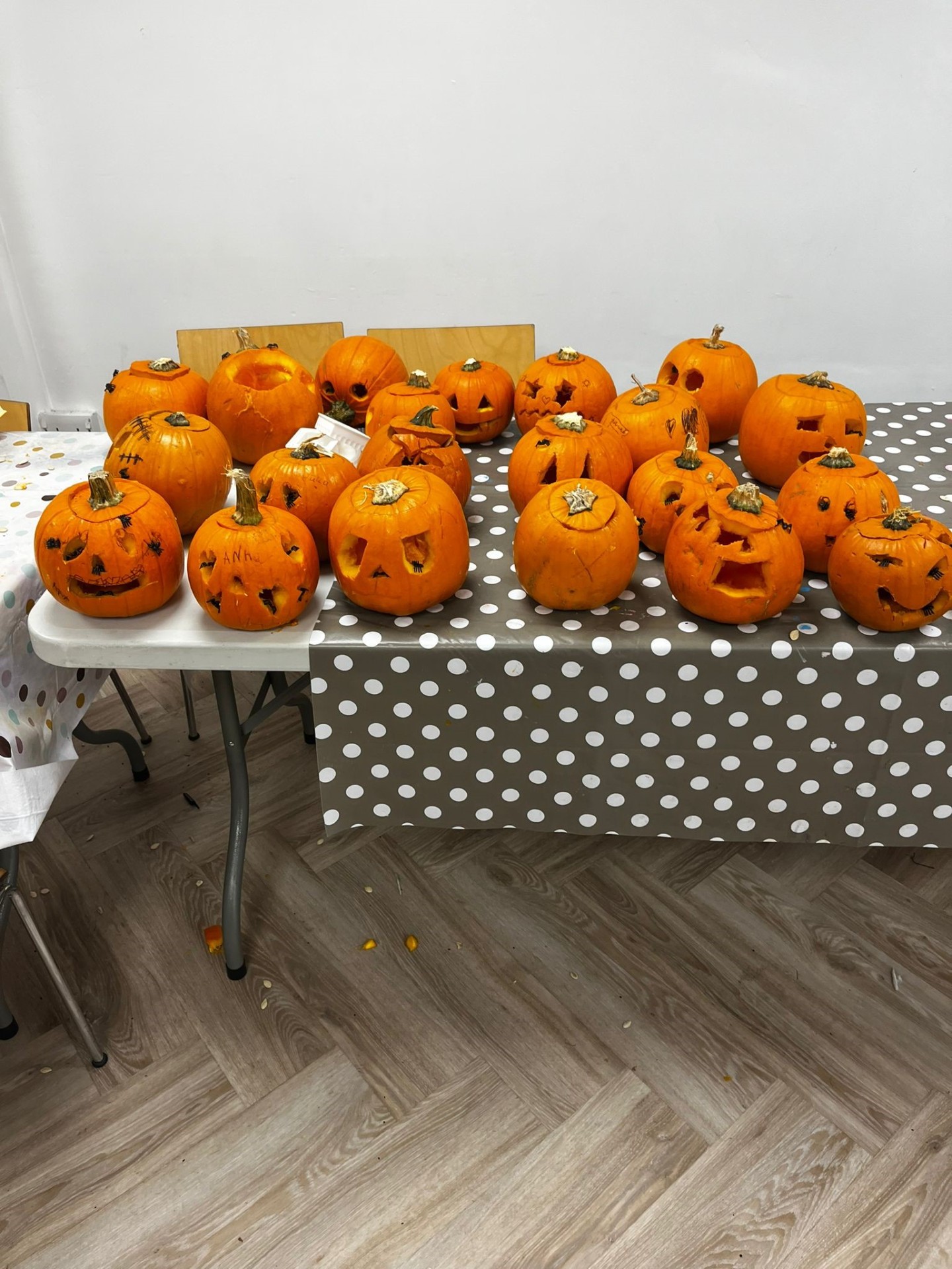 The Grove Community Hub - HAF Club - image 22