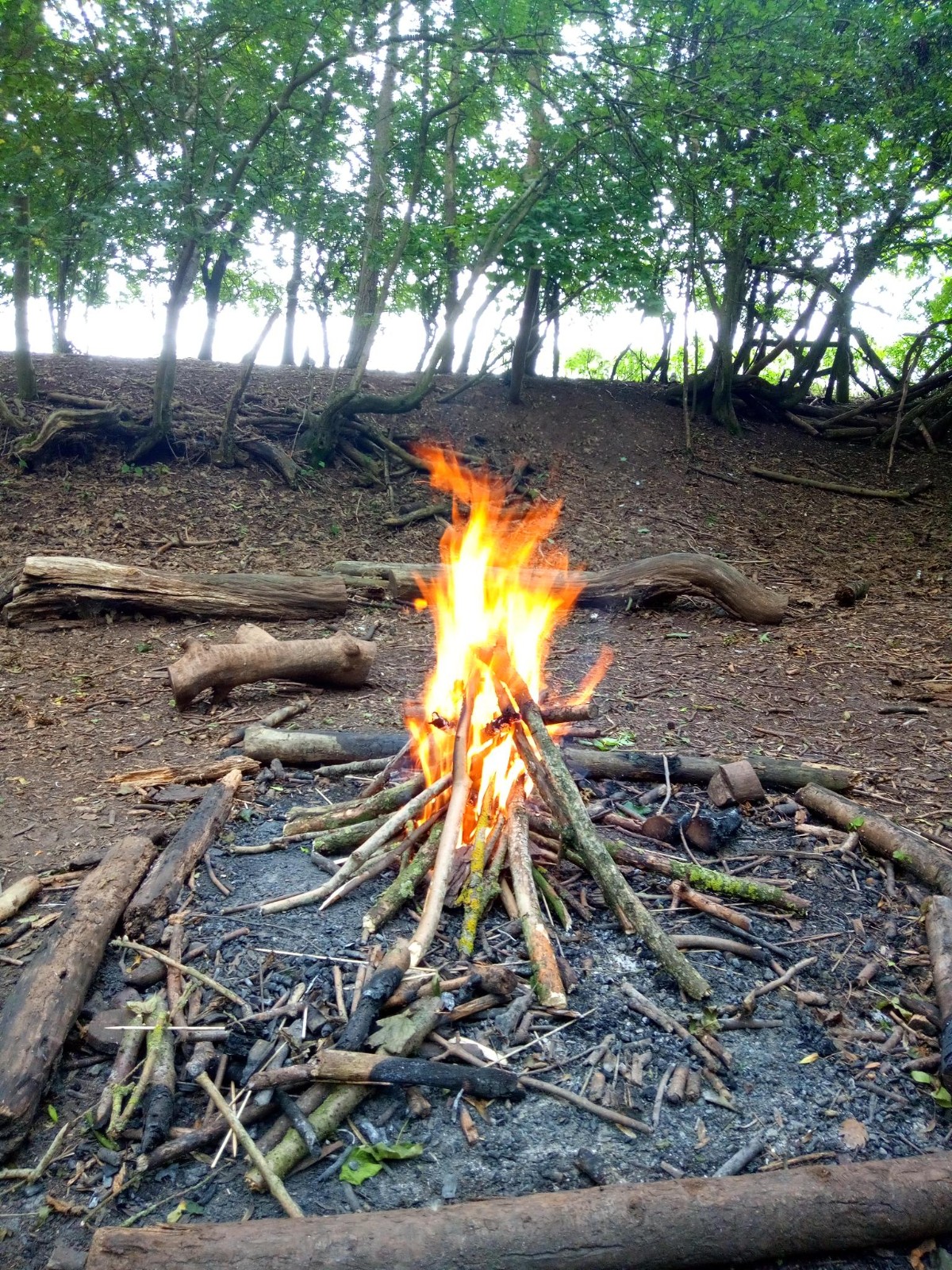 Cook in the Woods - image 4