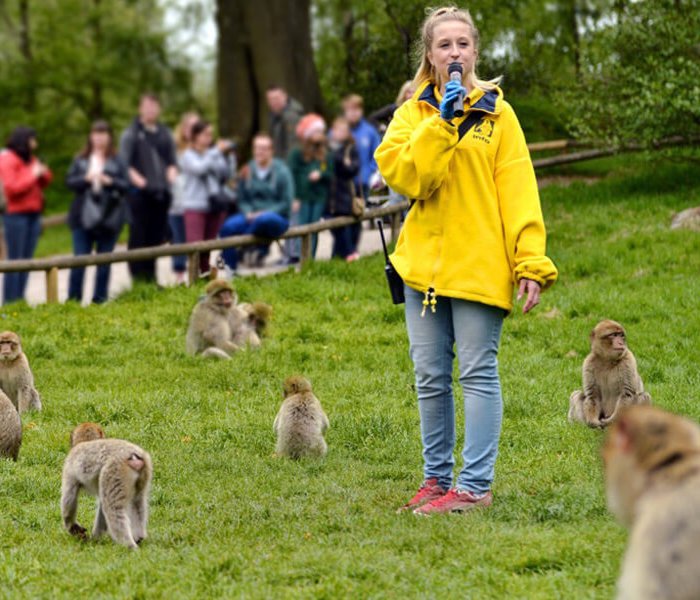 Action for Children Monkey Forest - image 2