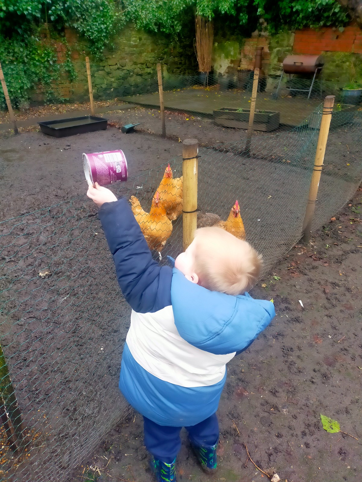 February Half Term HAF Club - image 9