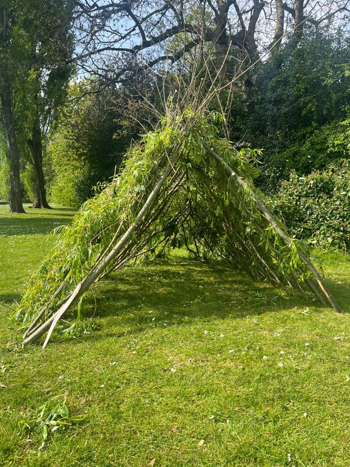 Wild About... Woodland Fun! - image 3