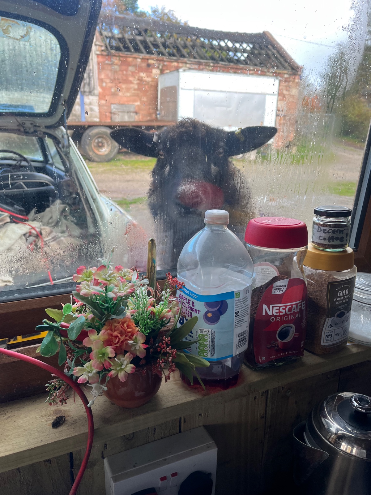 Simpli Life - Easter on the Farm - image 9