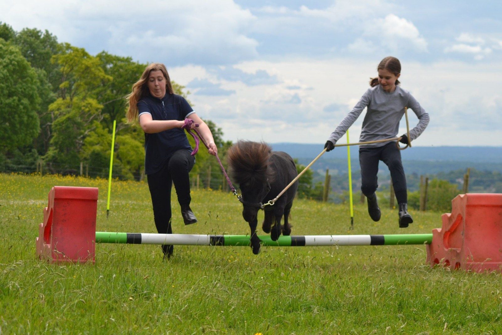 Animal Assisted Interactions in Nature - image 4