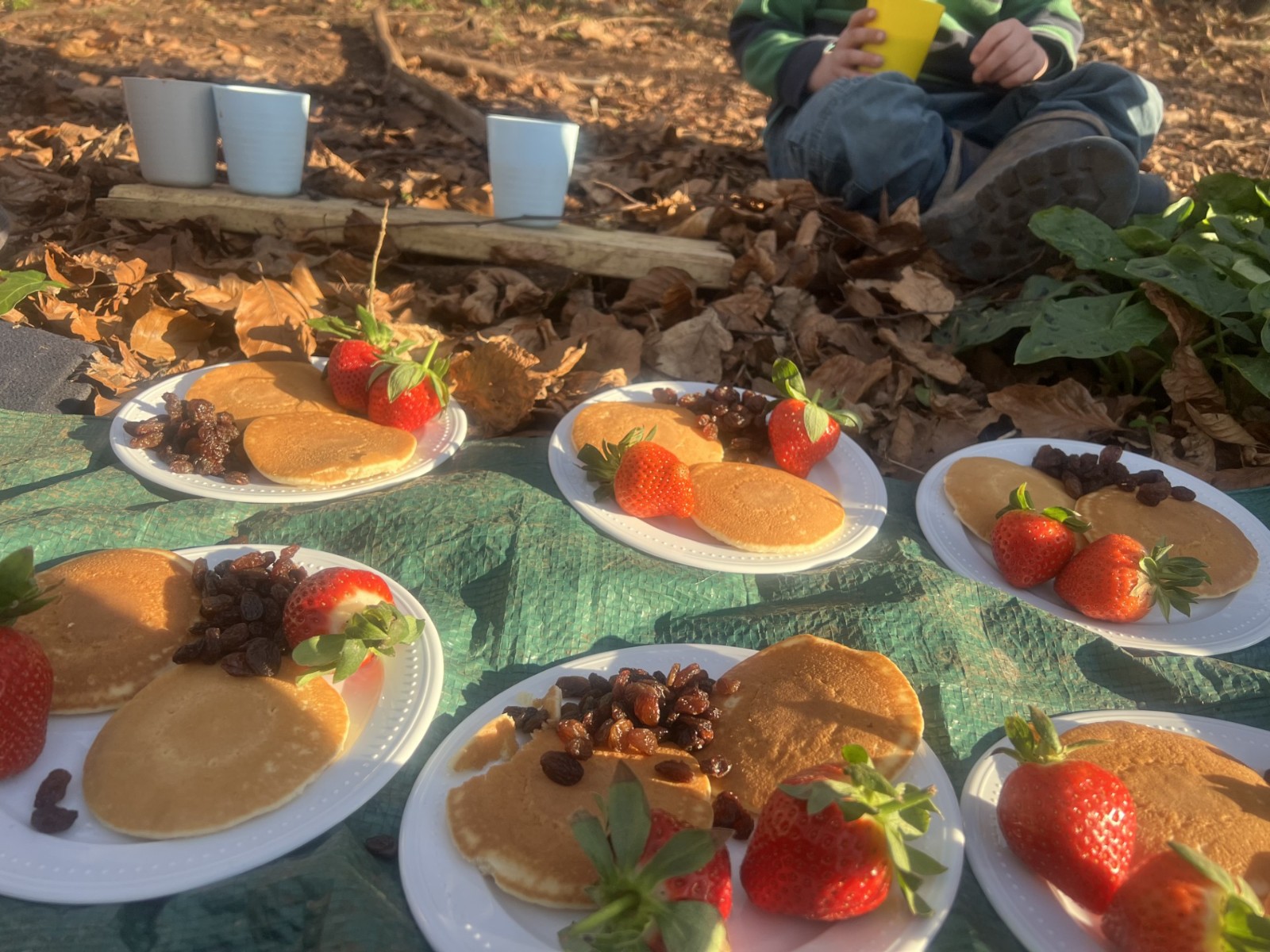 SEND Family Stay and Play HAF Forest School block mentored by Back2Basics Forest School