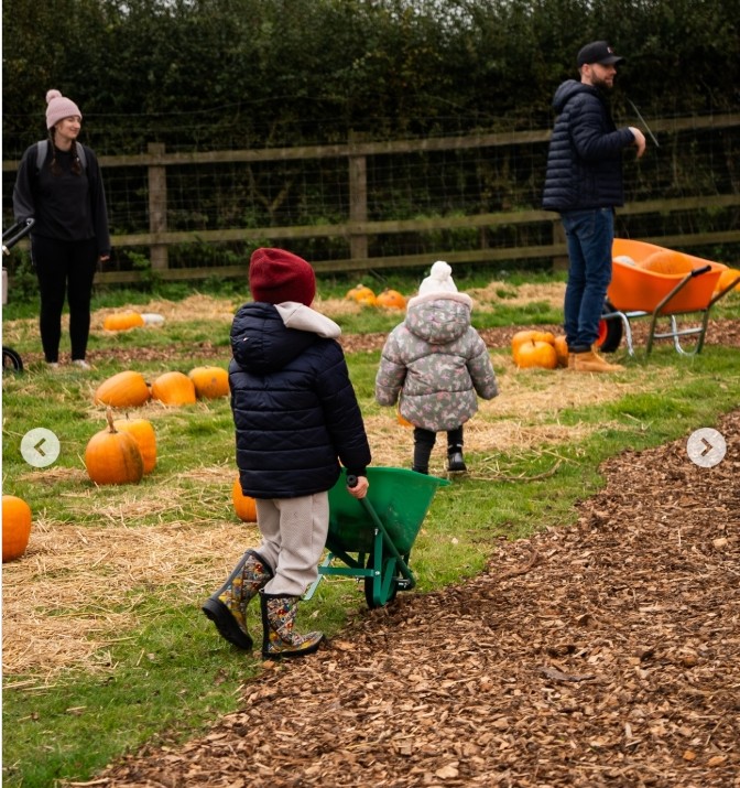 Action for Children Family Pumpkin Picking block mentored by Action for Children