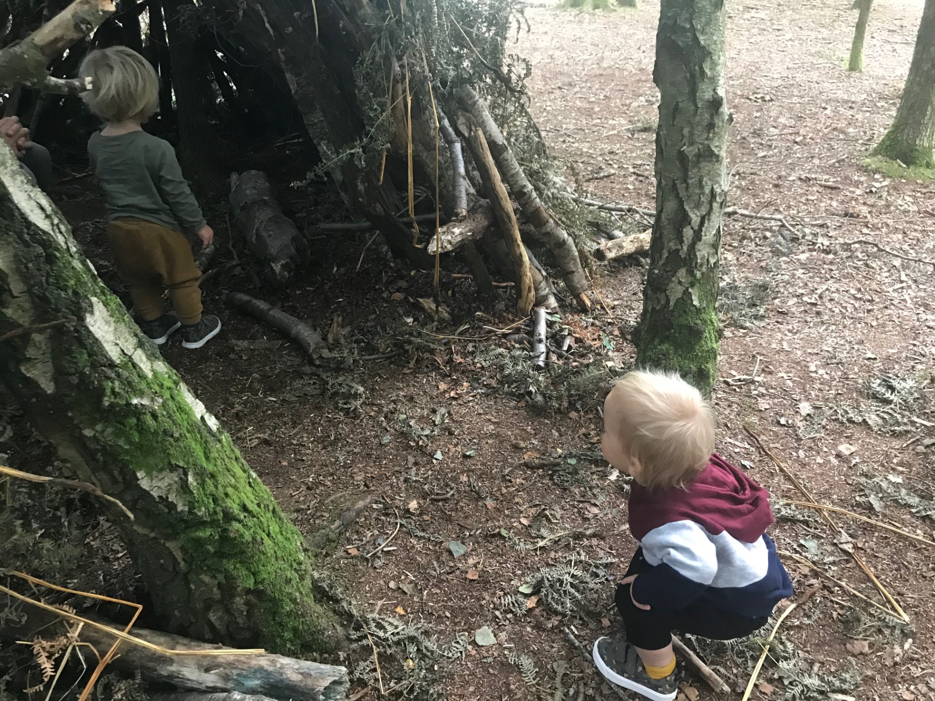 Intensive Forest School Leader Training - image 19