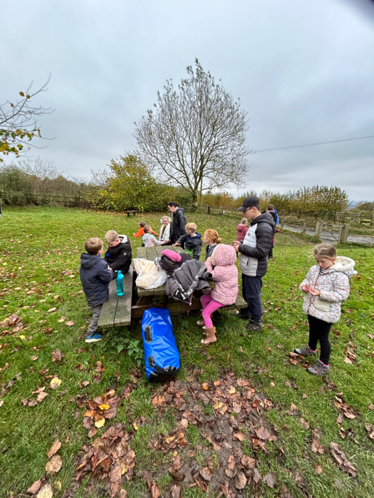 BushKids Activity Camp - image 2