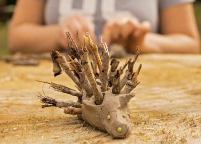Staffs Wildlife snap, crackle & campfire - image 3