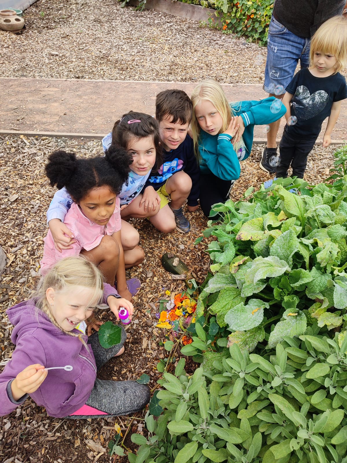 Nature Explorers - image 3