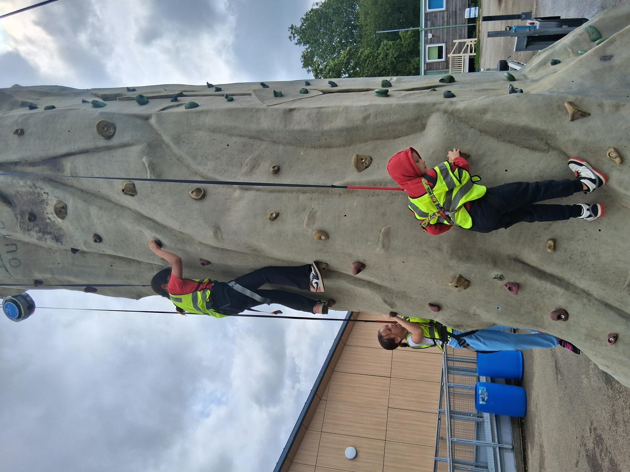 HAF WestRaven Community Cafe and Garden - image 10