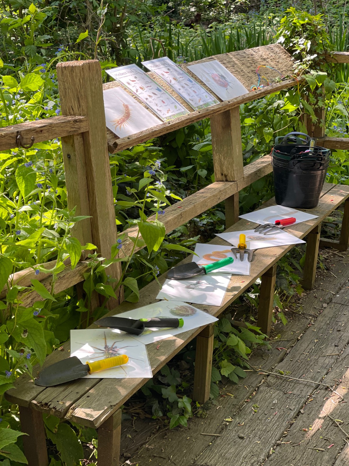 Wilderness Club: Holiday Camps - image 16