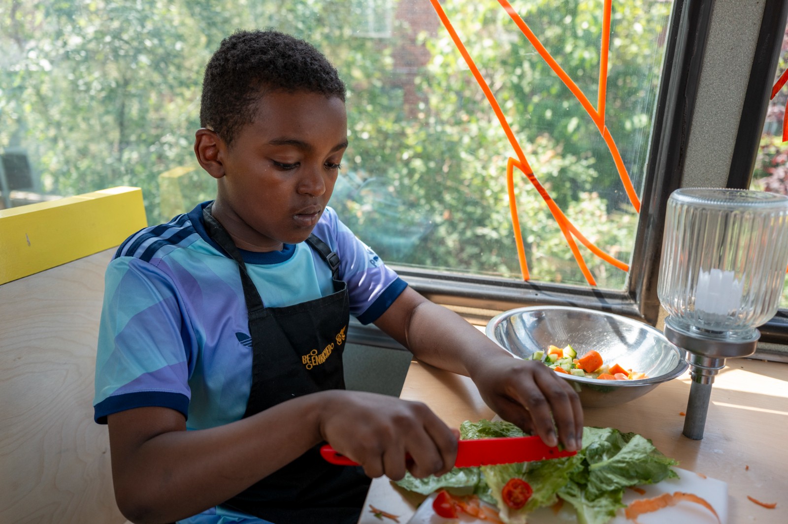 Summer Fun on the Food Bus - image 5
