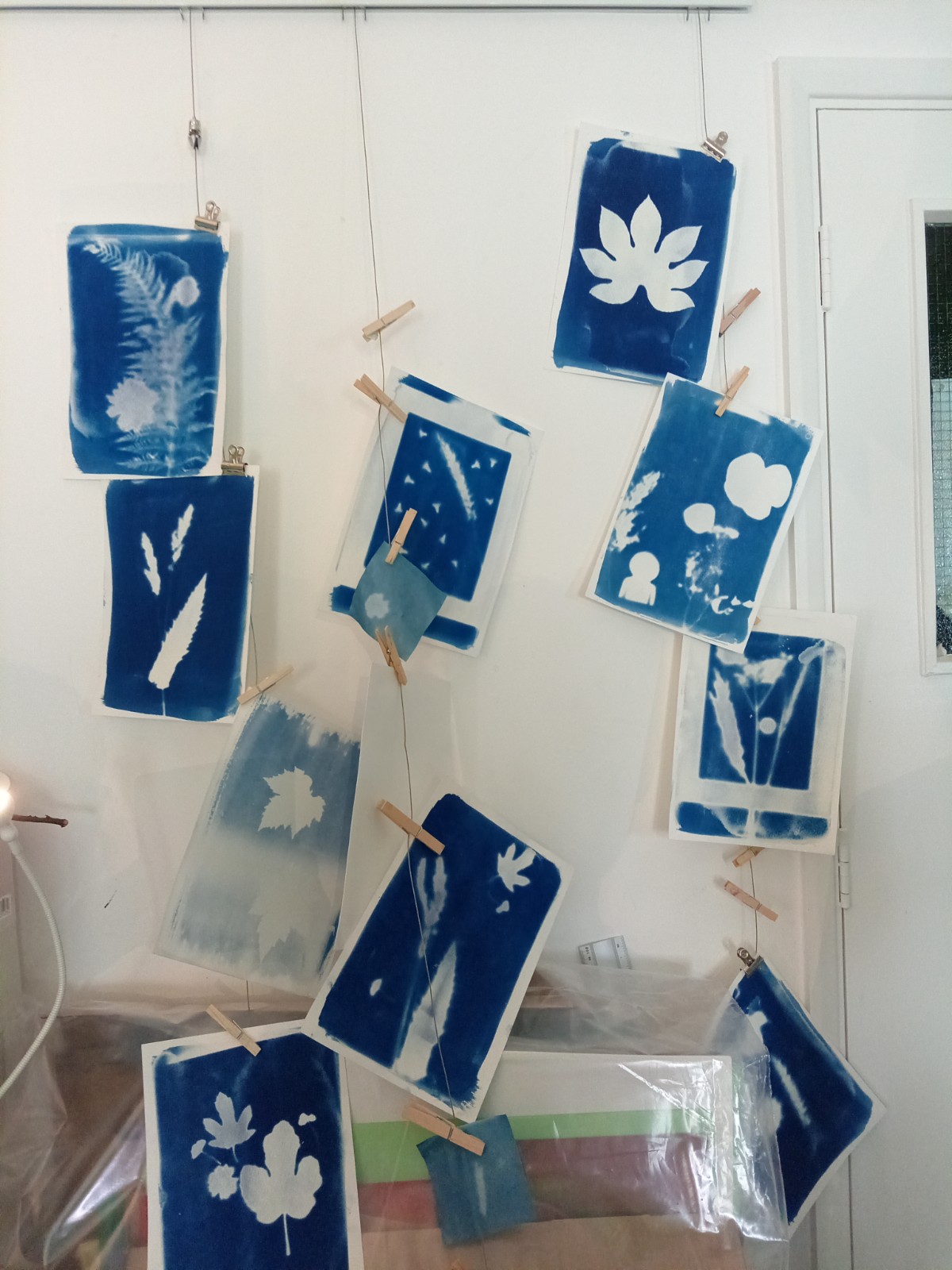 Cyanotype Printing HAF 7 - 11 block mentored by Sussex Contemporary Illustrators & Printmakers (SCIP)