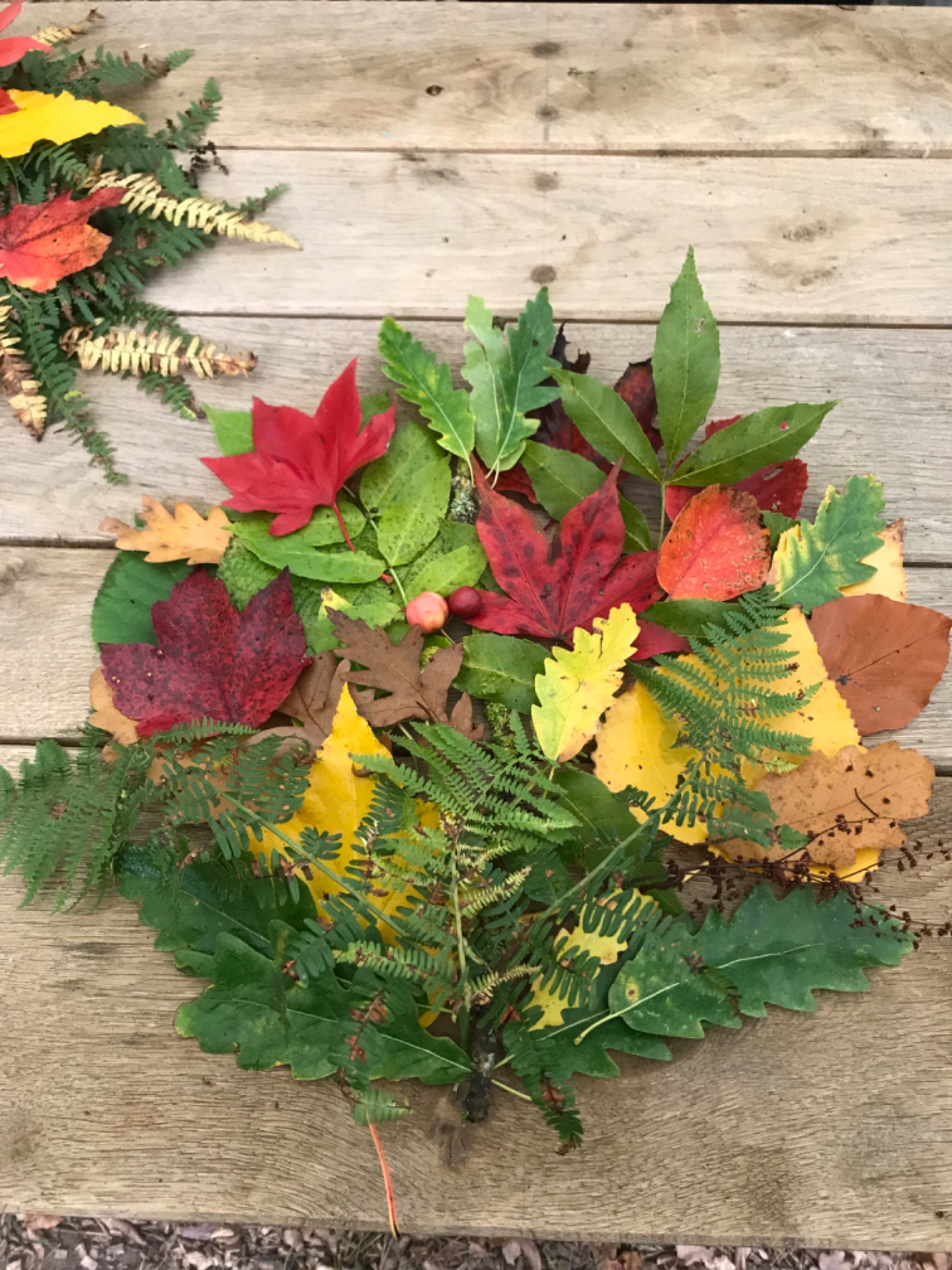 Thornham Walks Forest Bathing - image 6
